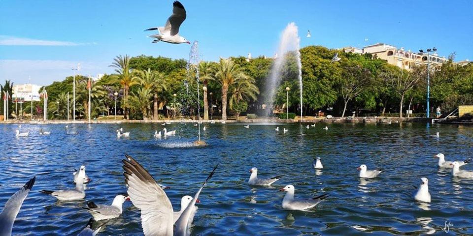Apartmán Torrevieja Experience Mar Azul Exteriér fotografie